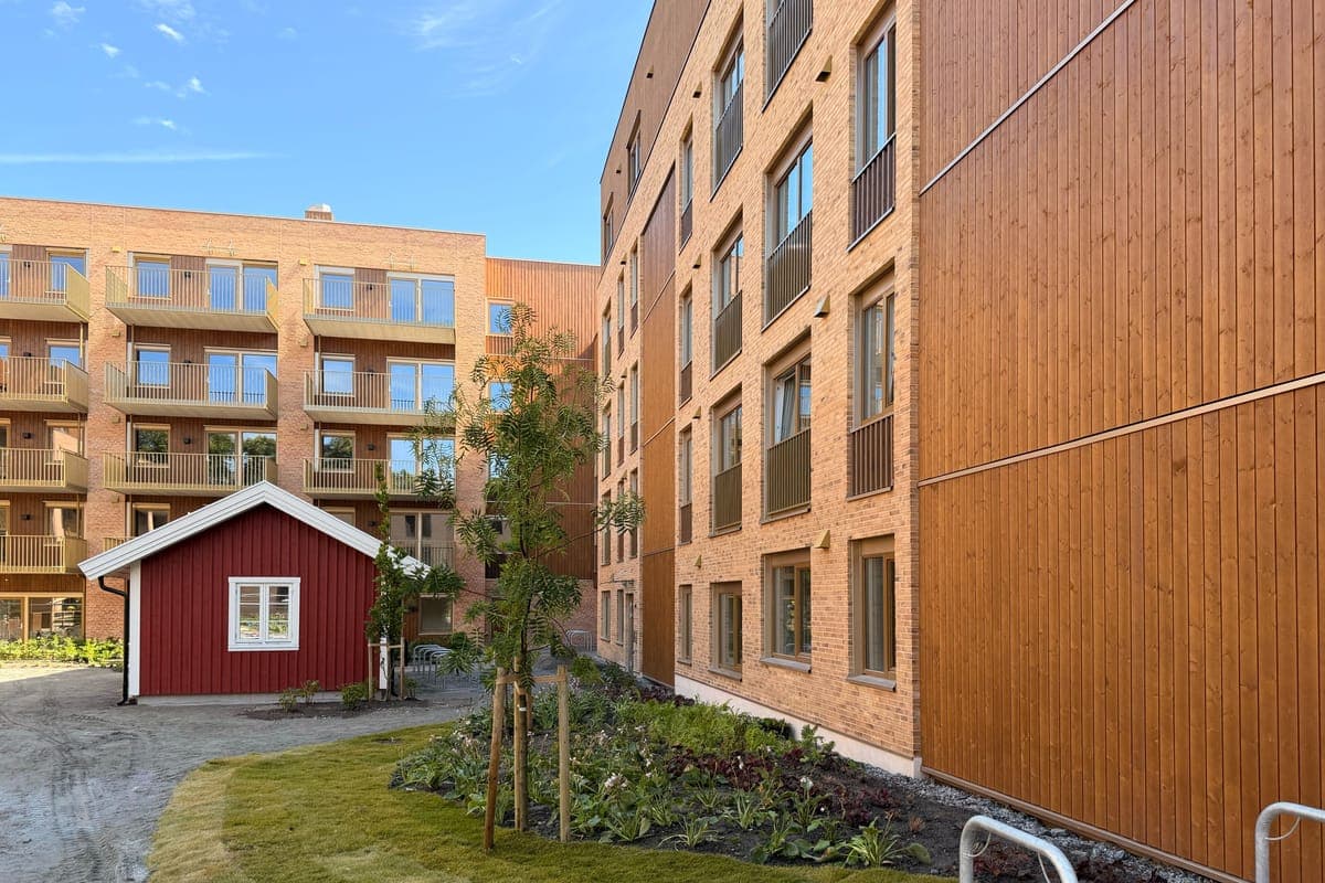 Et bilde som er lagt til i innlegget.
